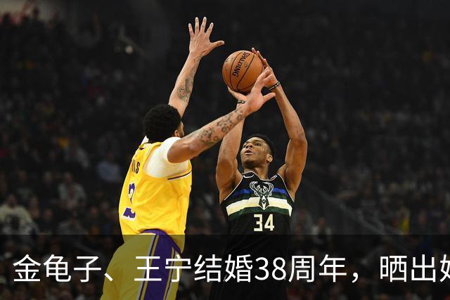 金龟子、王宁结婚38周年，晒出婚纱照不到24小时，恶心一幕上演！